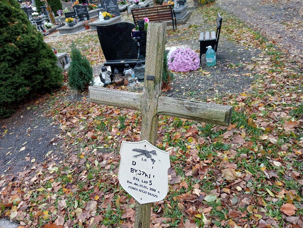 Damian Byszkin 1947 Chojnów - Grobonet - Wyszukiwarka osób pochowanych