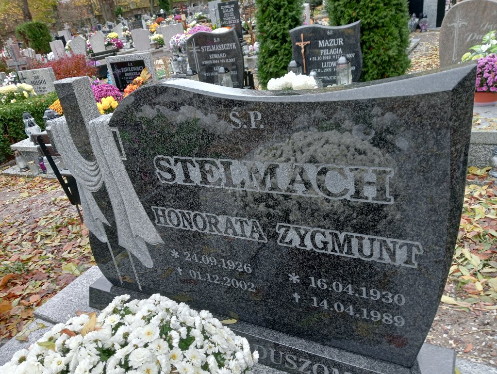 Zygmunt Stelmach 1930 Chojnów - Grobonet - Wyszukiwarka osób pochowanych