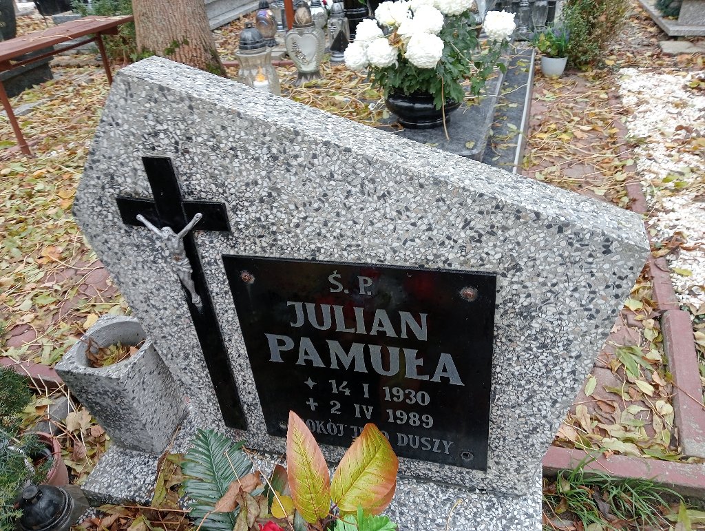 Julian Pamuła 1930 Chojnów - Grobonet - Wyszukiwarka osób pochowanych