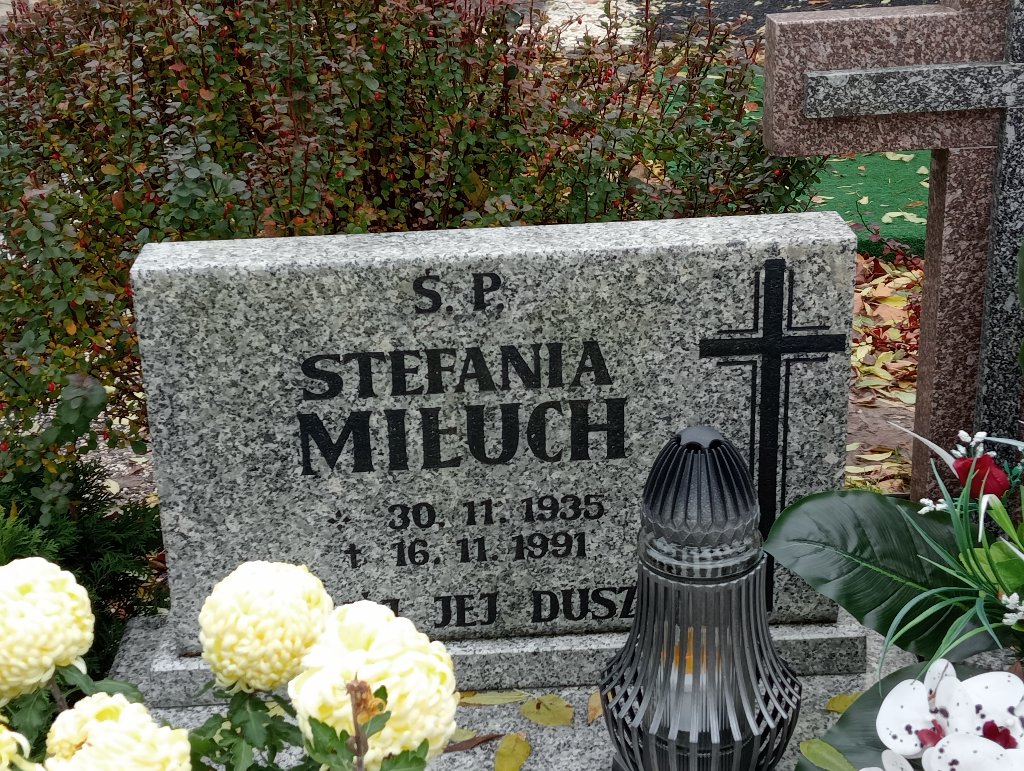 Stefania Miłuch 1935 Chojnów - Grobonet - Wyszukiwarka osób pochowanych