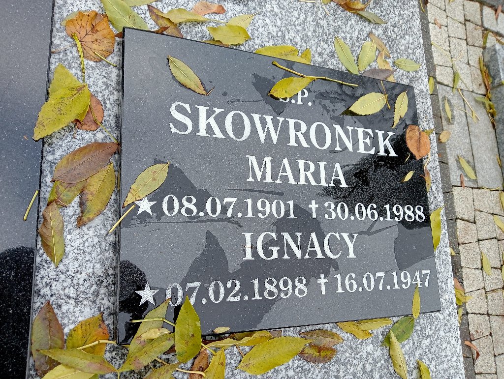 Maria Skowronek 1901 Chojnów - Grobonet - Wyszukiwarka osób pochowanych
