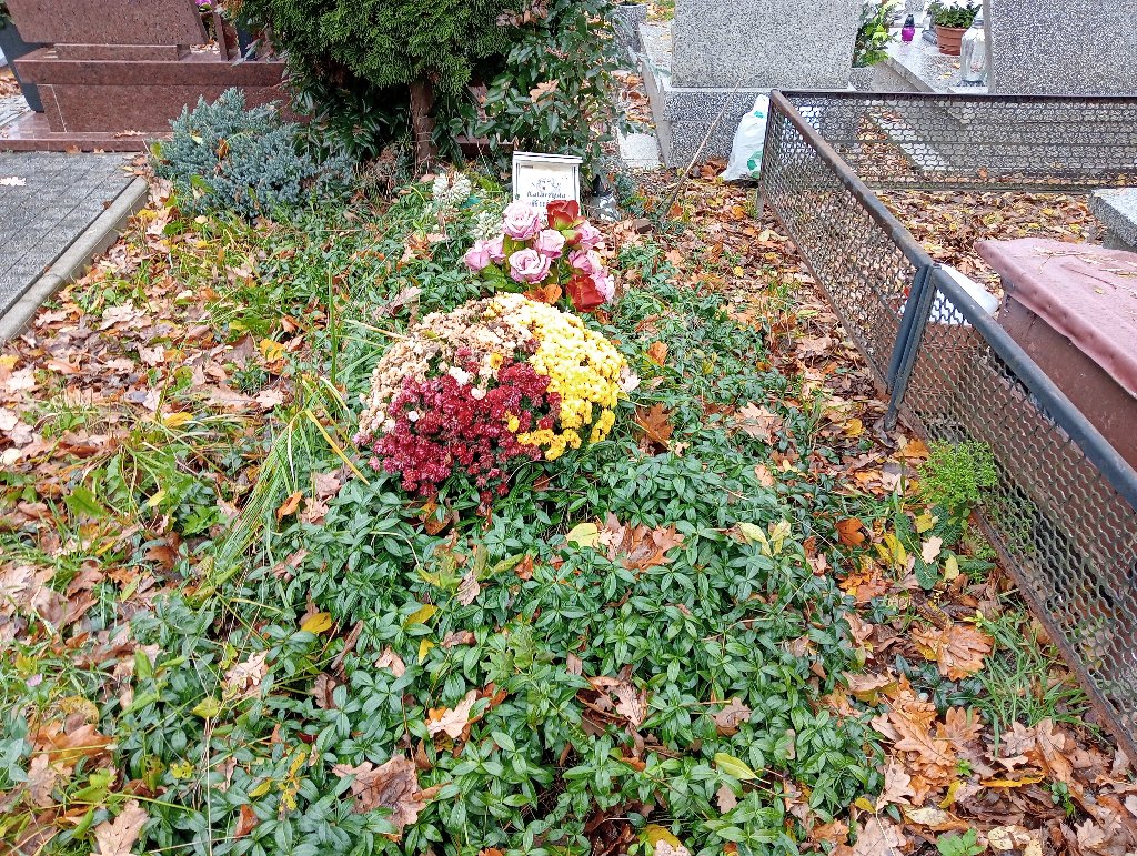 Grób Katarzyna Kujda