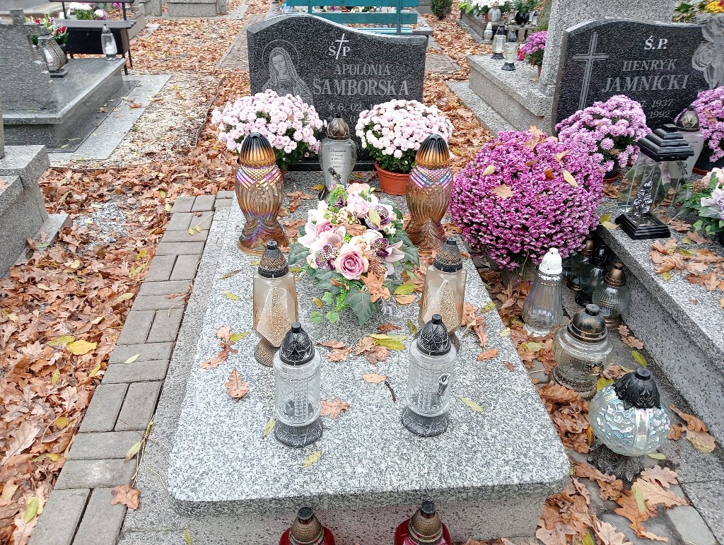 Grób Apolonia Samborska