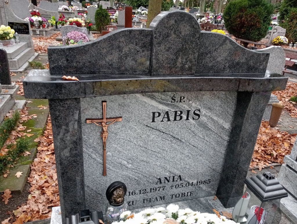 Anna Pabis 1977 Chojnów - Grobonet - Wyszukiwarka osób pochowanych