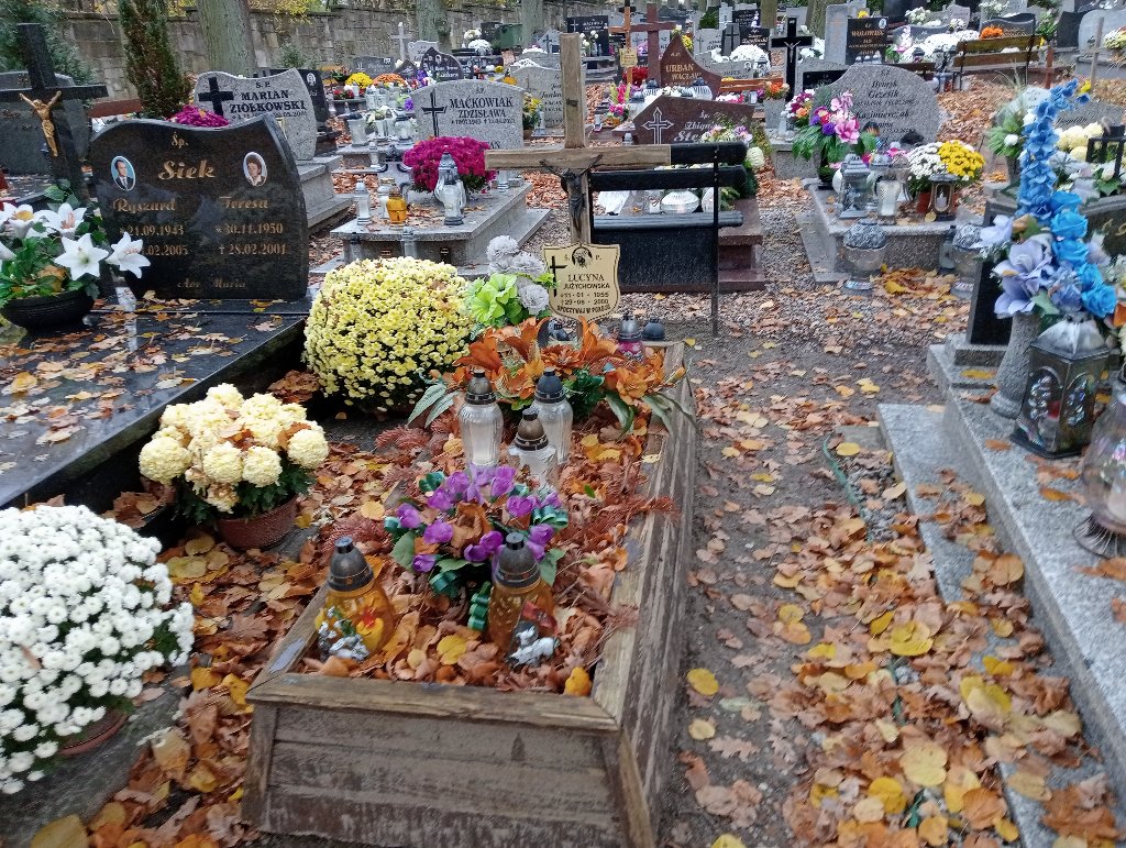 Grób Lucyna Jużychowska