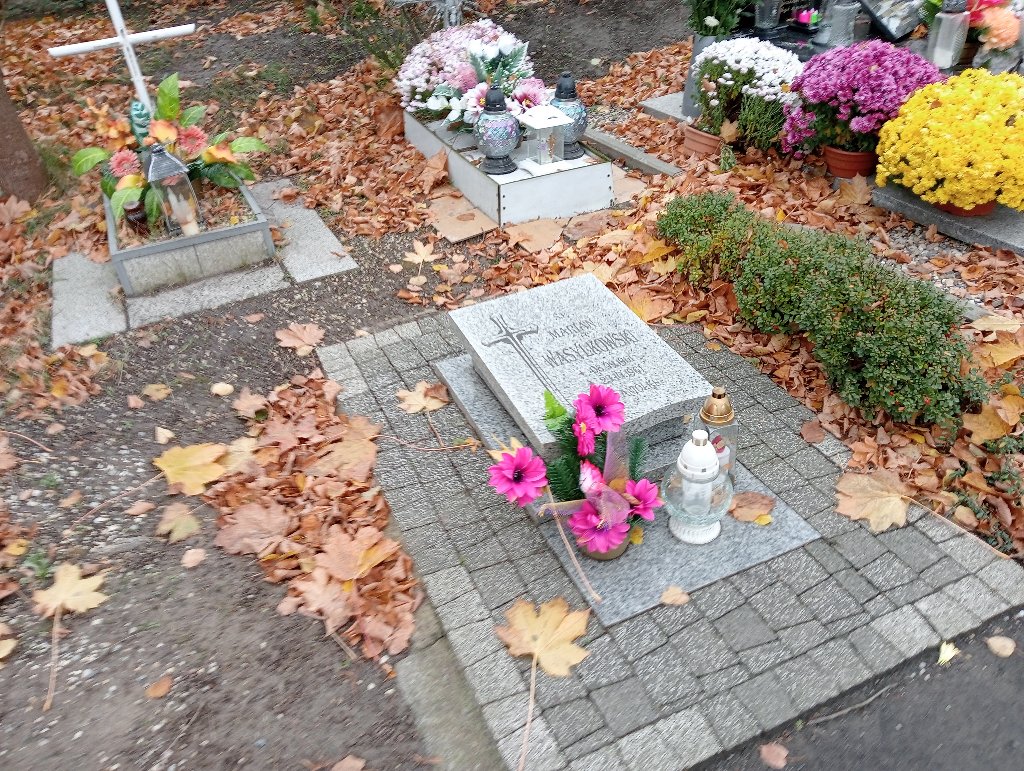 Grób Marian Wasylkowski