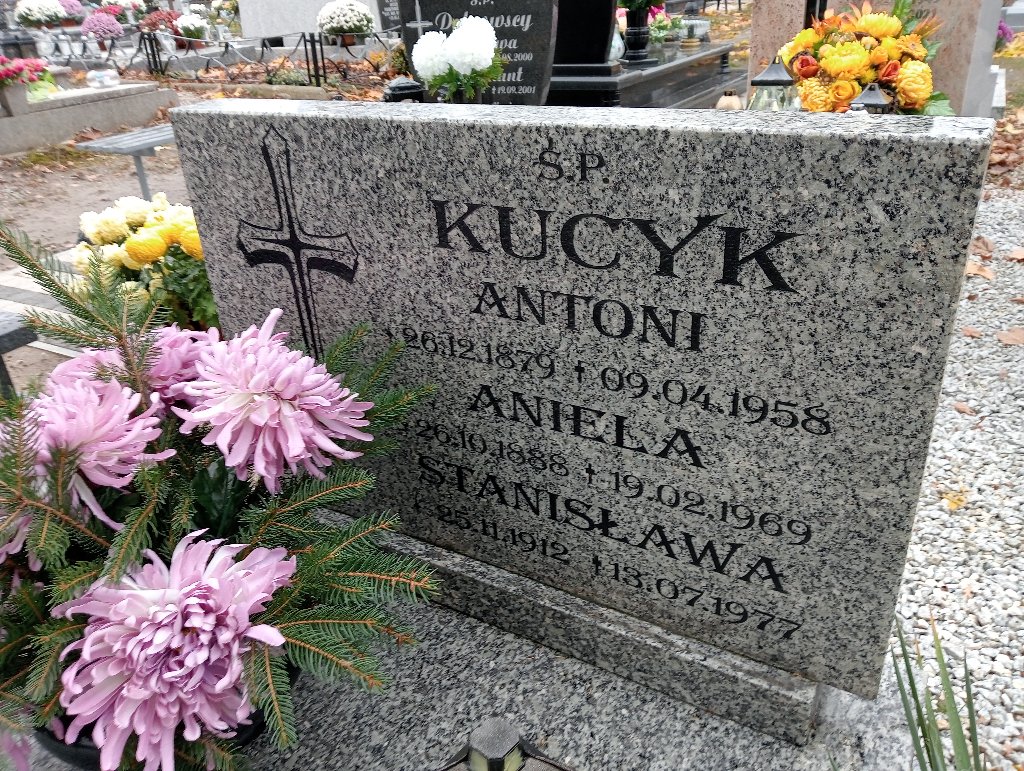 Antoni Kucyk 1879 Chojnów - Grobonet - Wyszukiwarka osób pochowanych