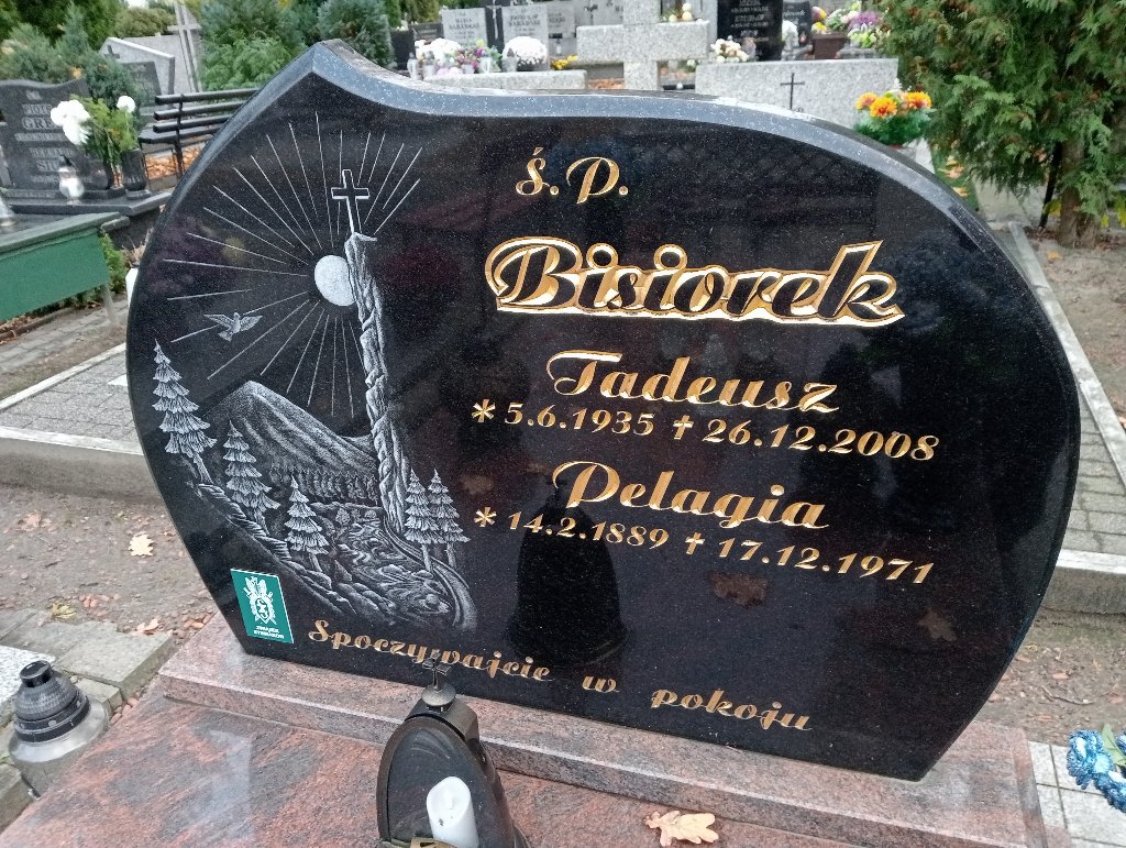 Tadeusz Bisiorek 1935 Chojnów - Grobonet - Wyszukiwarka osób pochowanych