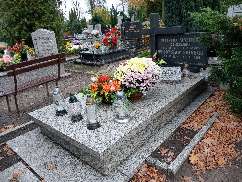 Grób Władysław Suchecki