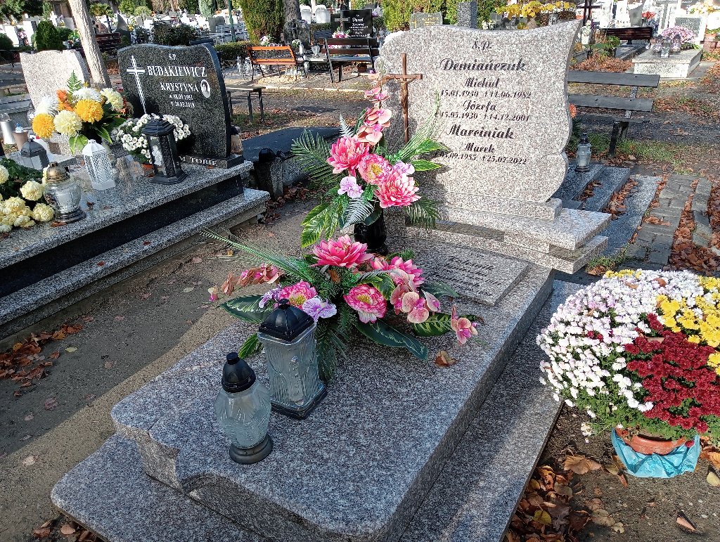 Grób Franciszek Koleśnik