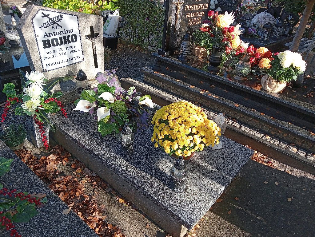 Grób Antonina Bojko