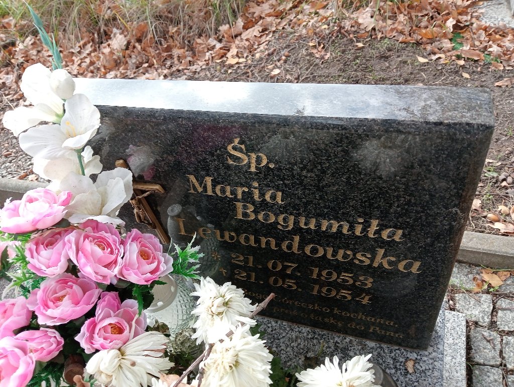Maria Lewandowska 1953 Chojnów - Grobonet - Wyszukiwarka osób pochowanych