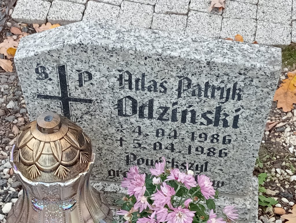 Adam Odziński 1986 Chojnów - Grobonet - Wyszukiwarka osób pochowanych