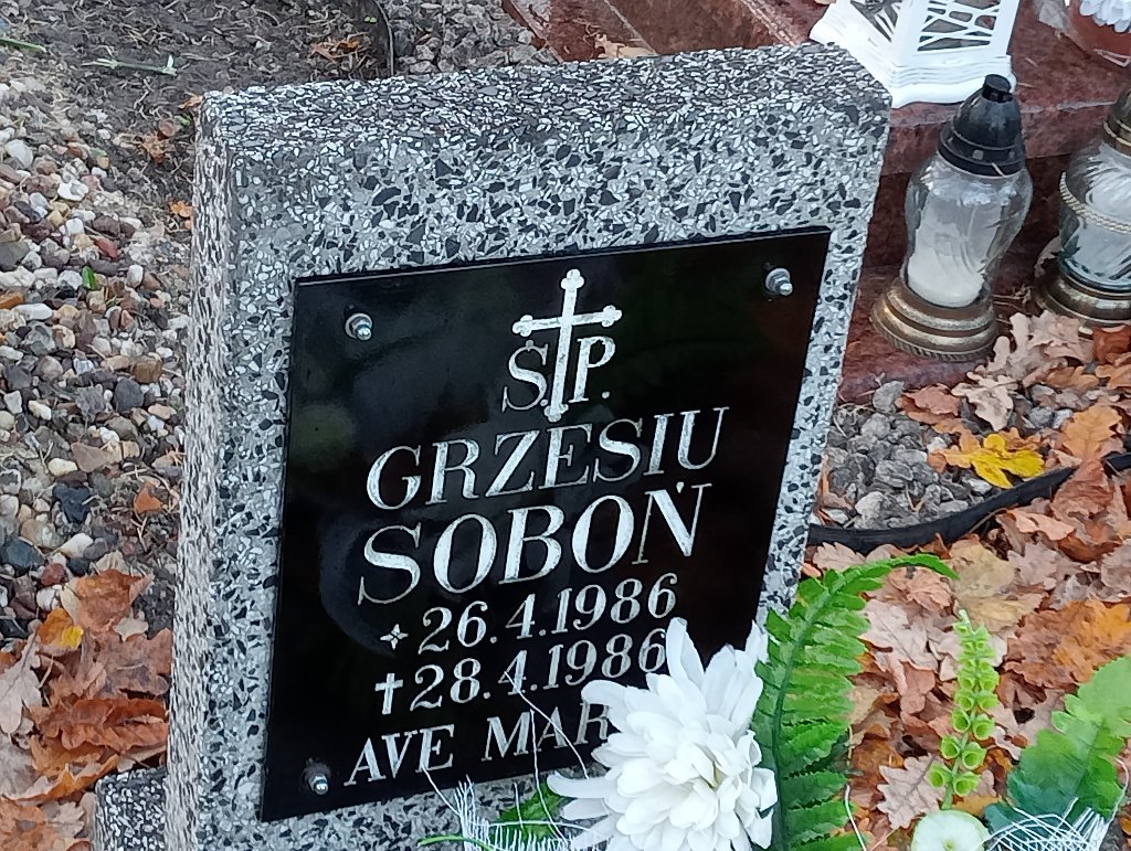 Grzegorz Soboń 1986 Chojnów - Grobonet - Wyszukiwarka osób pochowanych