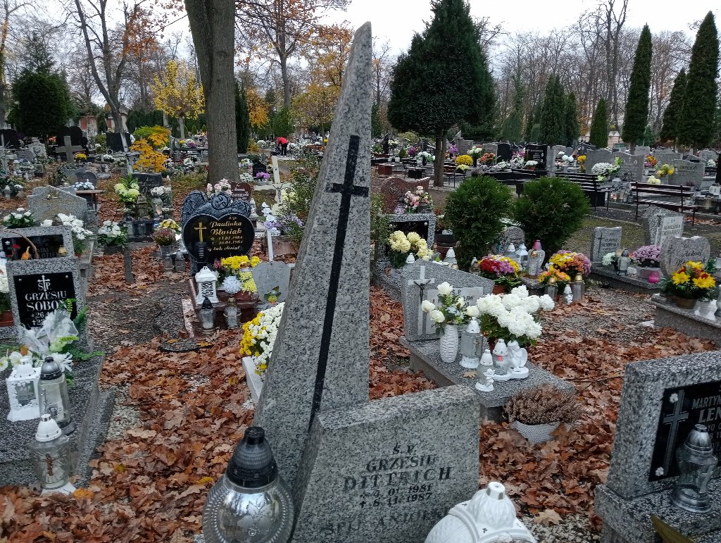 Grzegorz Diterich 1981 Chojnów - Grobonet - Wyszukiwarka osób pochowanych