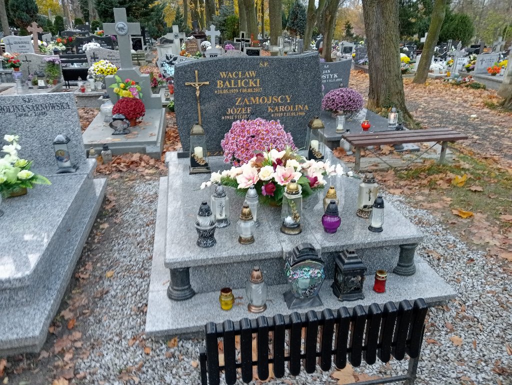 Grób Karolina Zamojska