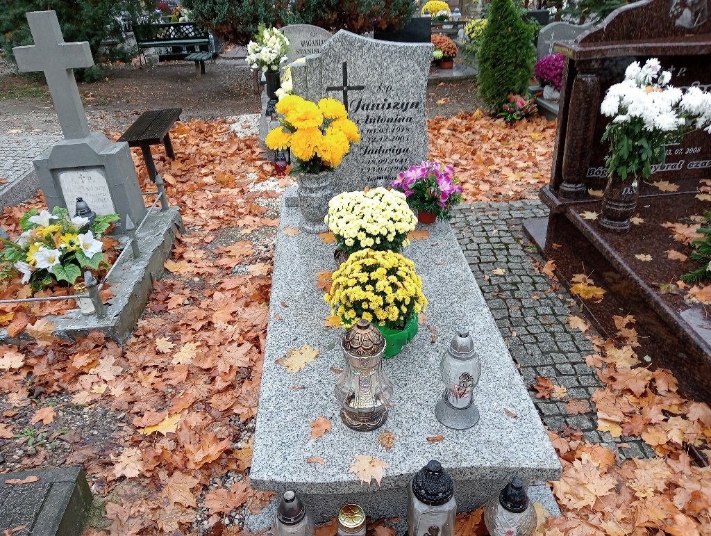 Grób Antonina Janiszyn