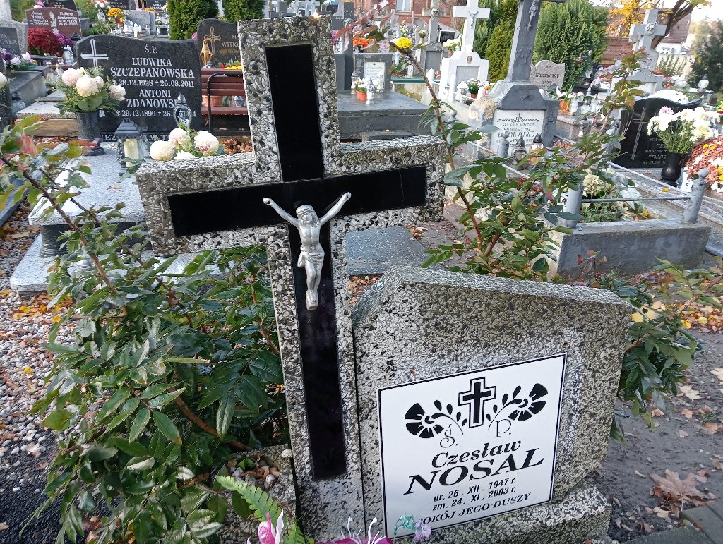 Czesław Nosal 1947 Chojnów - Grobonet - Wyszukiwarka osób pochowanych
