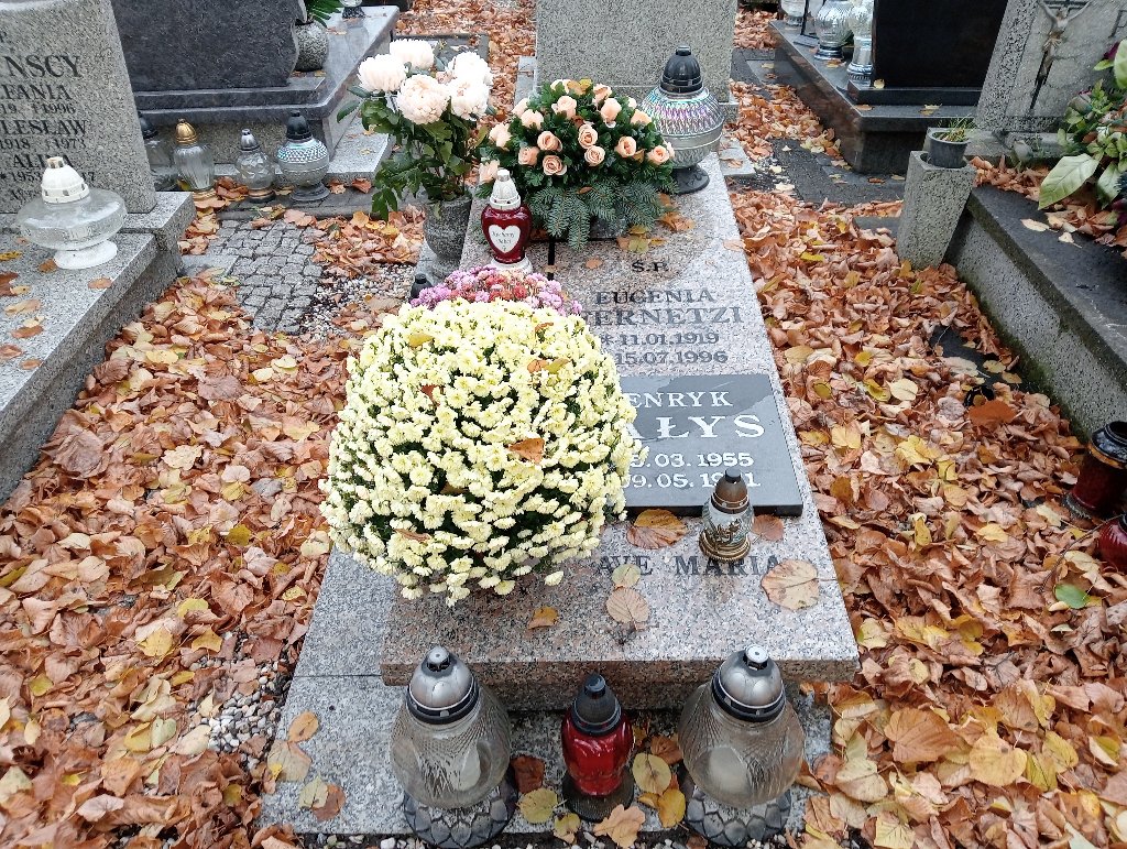 Grób Eugenia Fernetzi