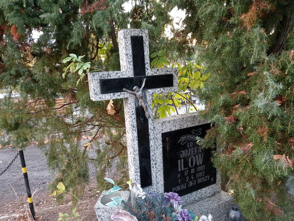 Józef Ilów 1905 Chojnów - Grobonet - Wyszukiwarka osób pochowanych