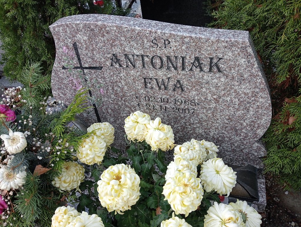 Ewa Antonika 1968 Chojnów - Grobonet - Wyszukiwarka osób pochowanych