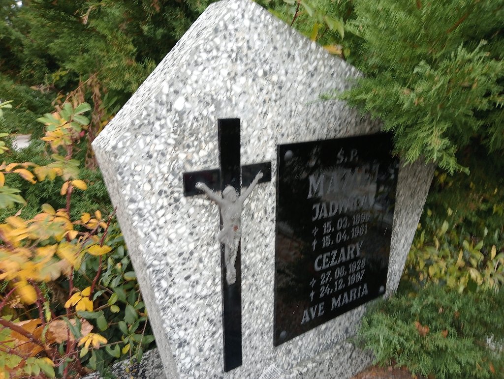 Cezary Maziej 1926 Chojnów - Grobonet - Wyszukiwarka osób pochowanych