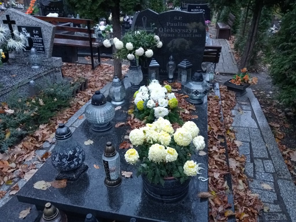 Grób Antonina Druzga