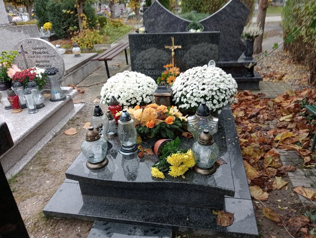 Emil Niestrzębski 1937 Chojnów - Grobonet - Wyszukiwarka osób pochowanych