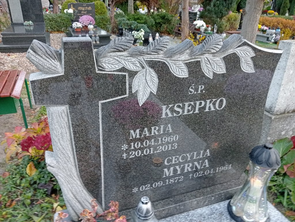 Cecylia Myrna 1872 Chojnów - Grobonet - Wyszukiwarka osób pochowanych