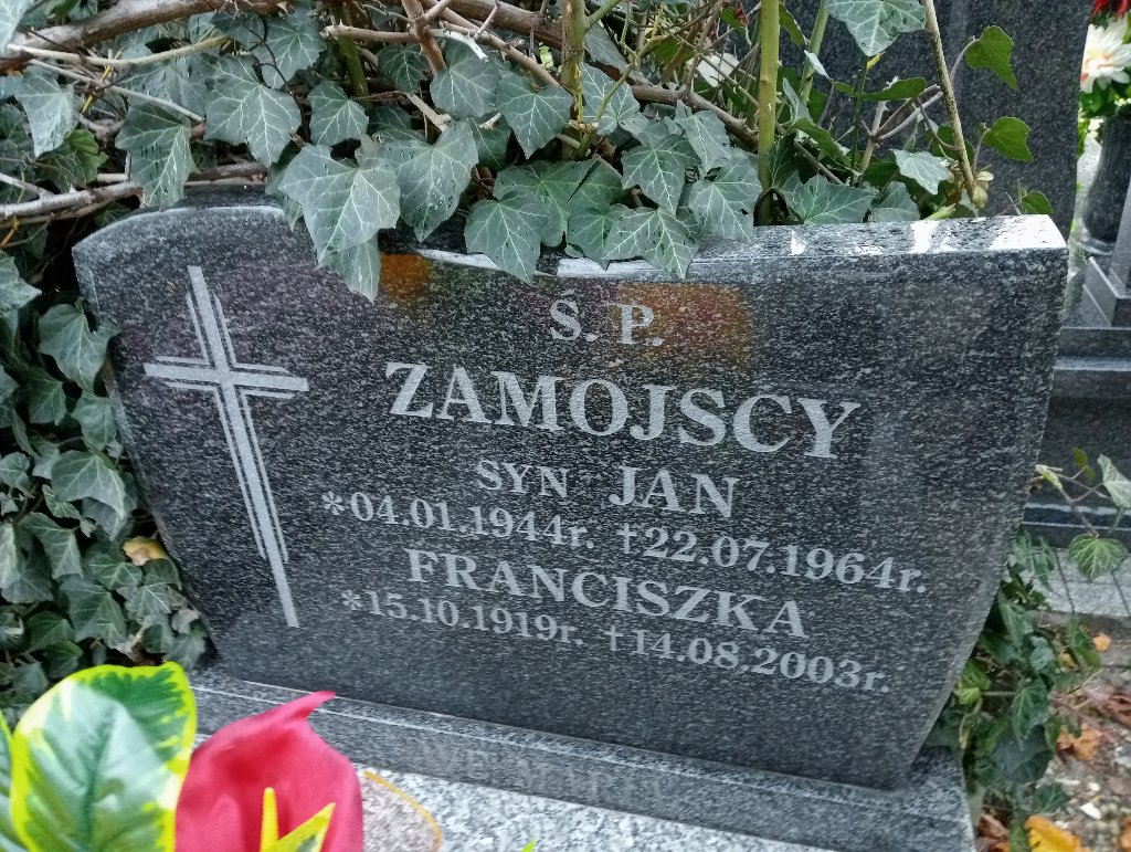 P Zamojski 1944 Chojnów - Grobonet - Wyszukiwarka osób pochowanych