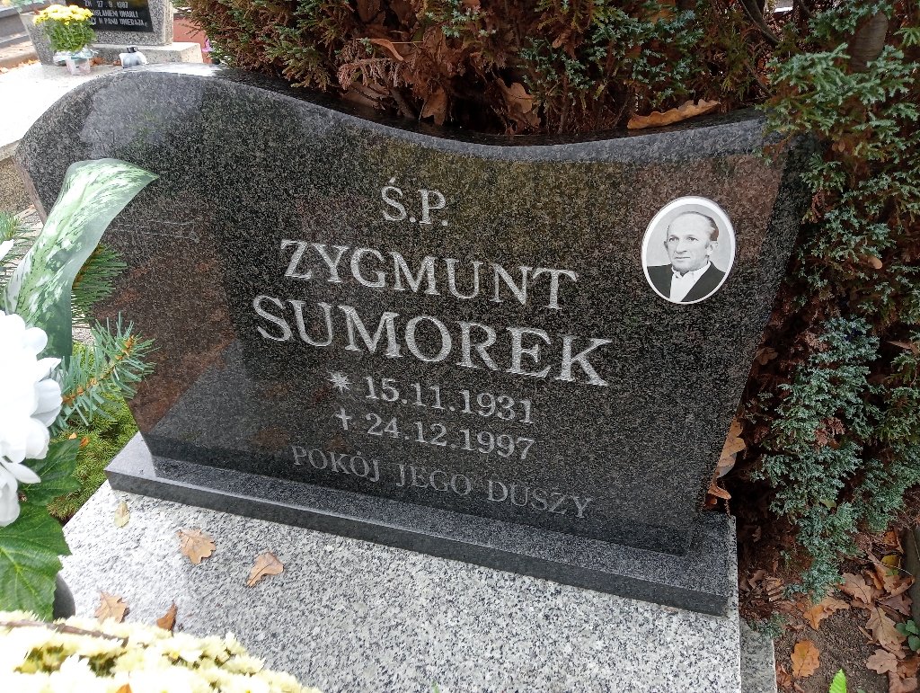 Zygmunt Sumorek 1931 Chojnów - Grobonet - Wyszukiwarka osób pochowanych