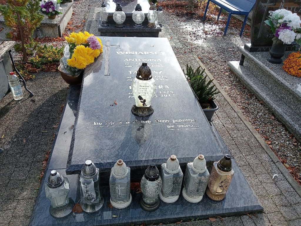 Grób Tadeusz Winiarski