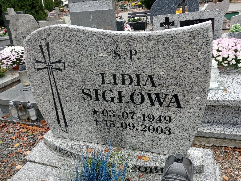 Tadeusz Sigłowy 1947 Chojnów - Grobonet - Wyszukiwarka osób pochowanych