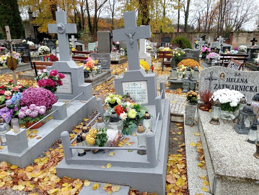 Grób Andrzej Stefanicki