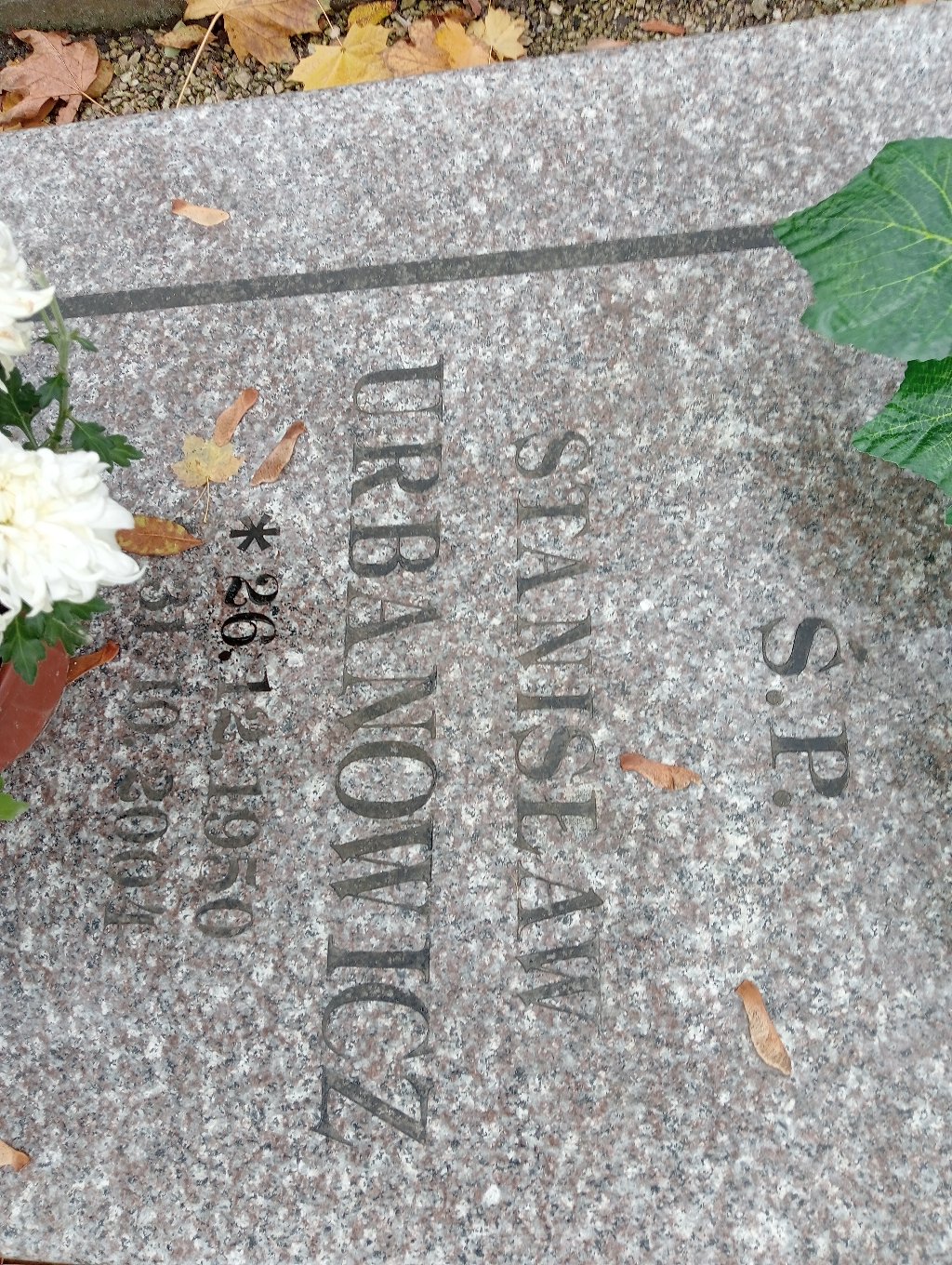 Stanisław Urbanowicz 1950 Chojnów - Grobonet - Wyszukiwarka osób pochowanych