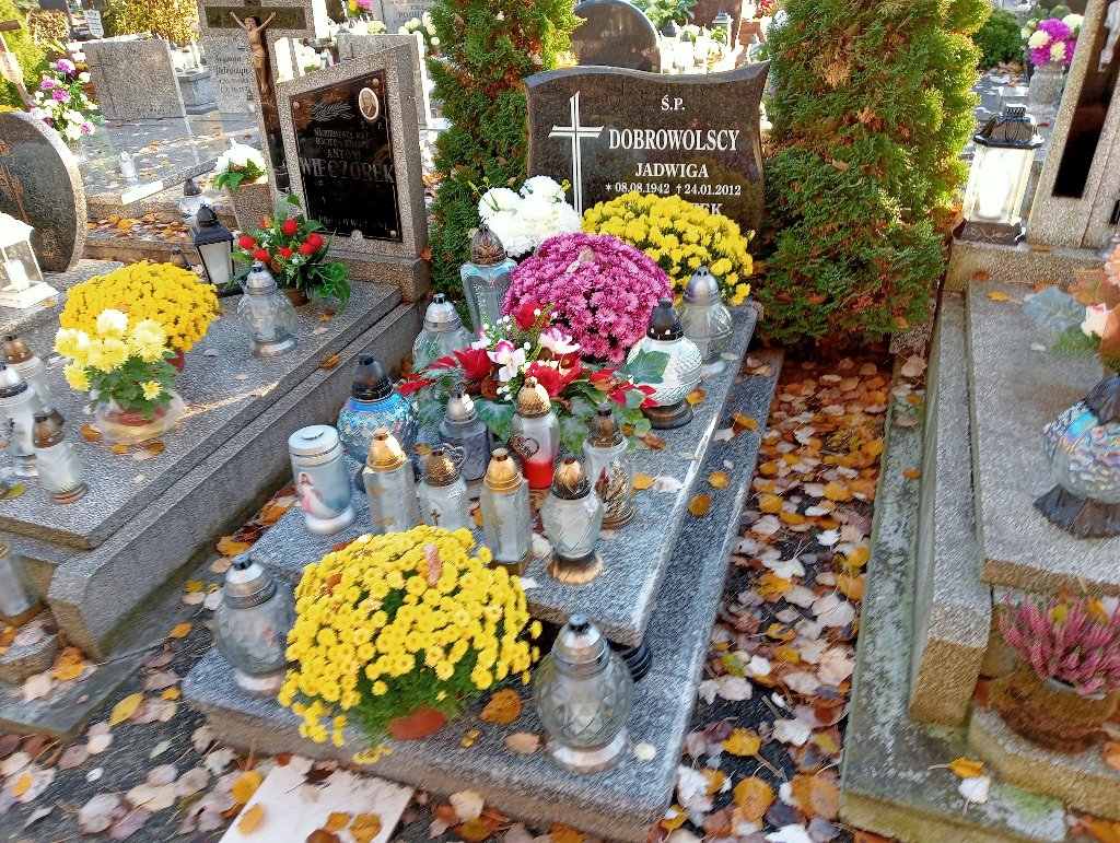 Grób Franciszek Dobrowolski