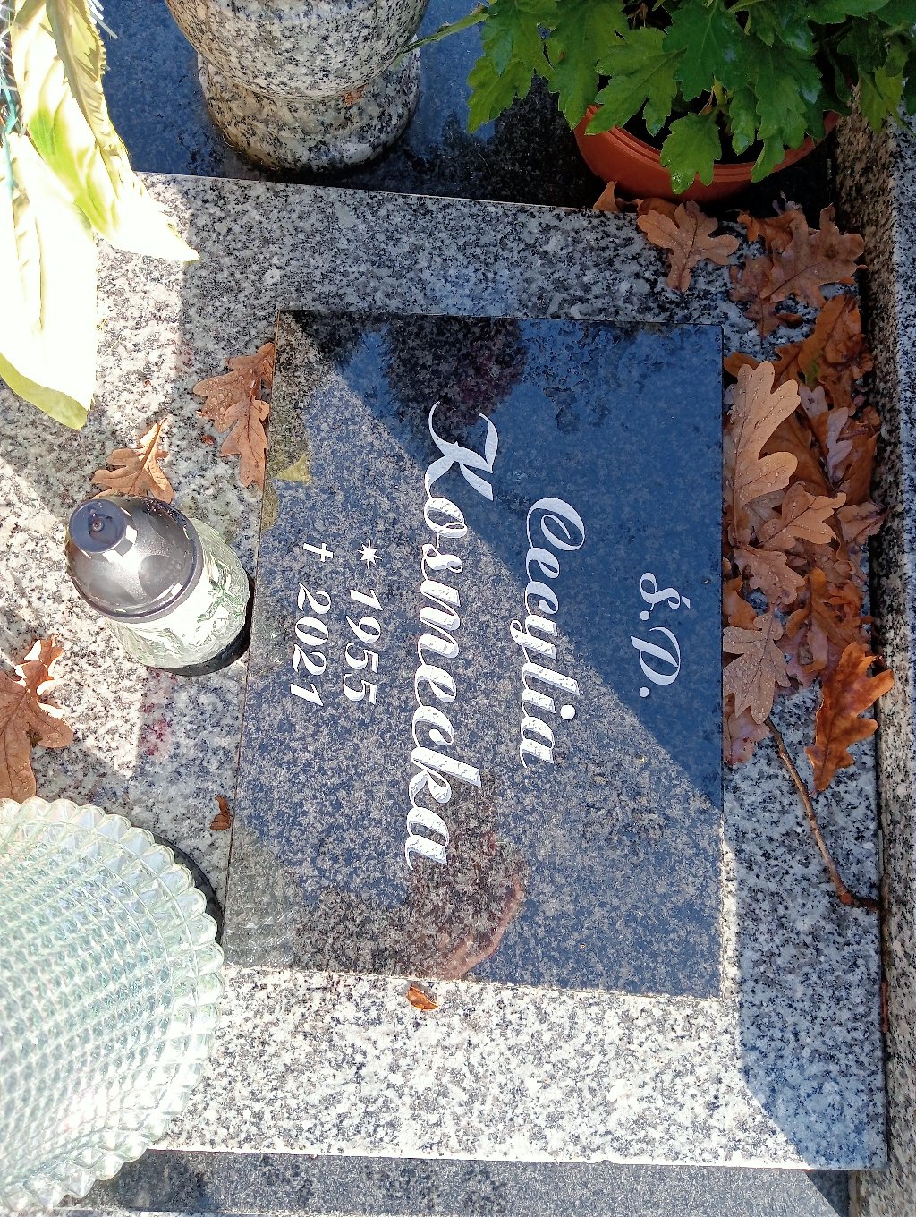 Cecylia Kosmecka 1955 Chojnów - Grobonet - Wyszukiwarka osób pochowanych