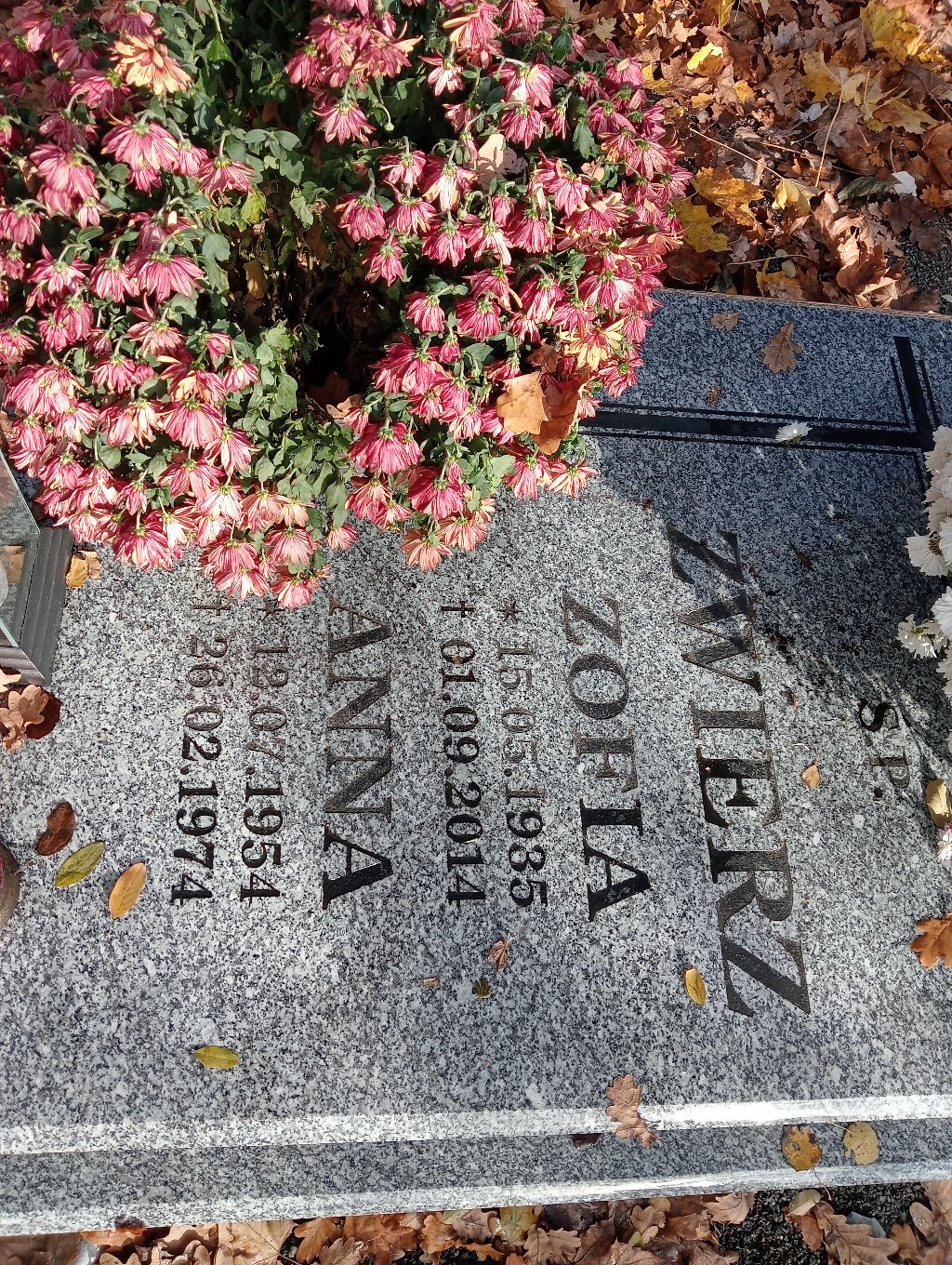 Anna Zwierz 1954 Chojnów - Grobonet - Wyszukiwarka osób pochowanych